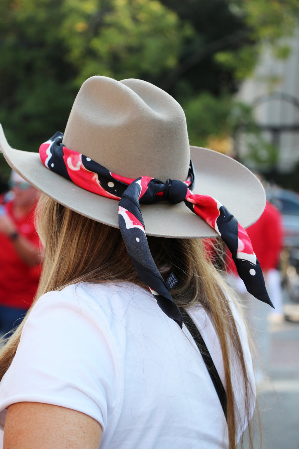 Athens Game Day 100% Silk Scarf